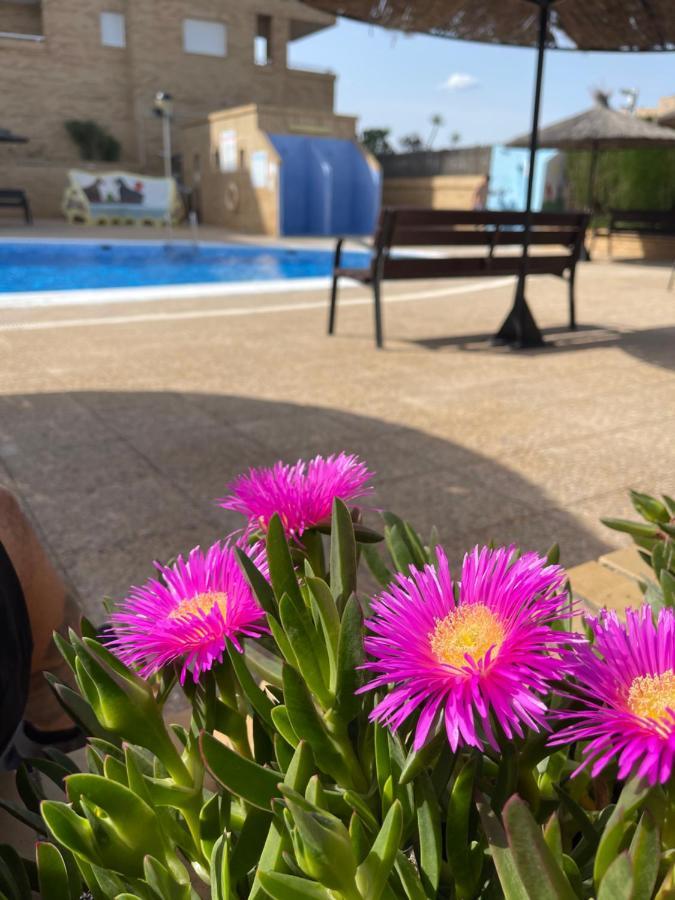 Apartamento Zona Marinador, Cerca A La Playa Oropesa del Mar Exterior photo